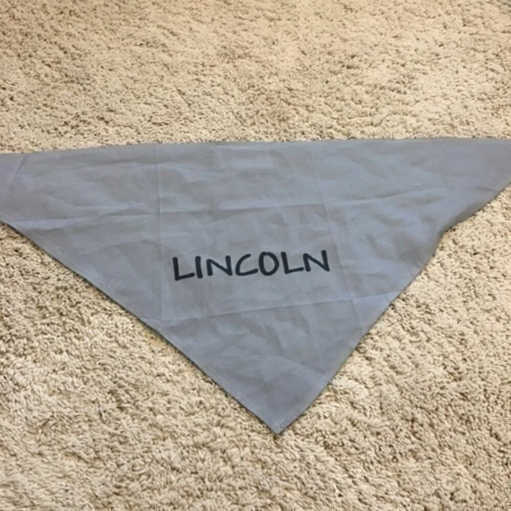 Lincoln pet bandana